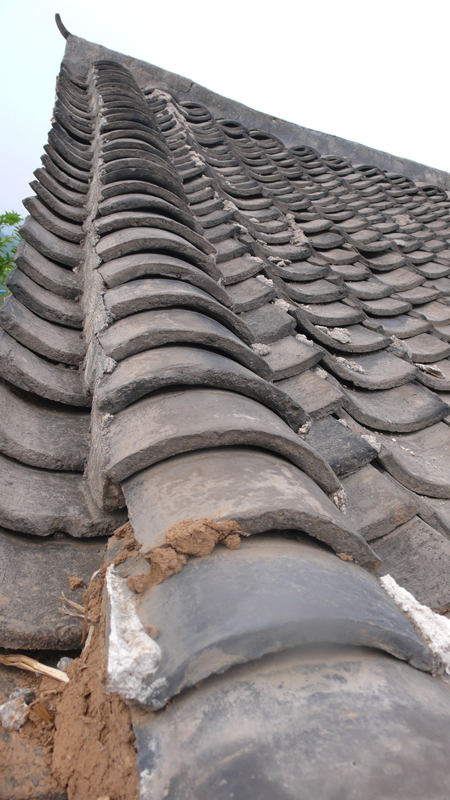 roof tiles on traditional house