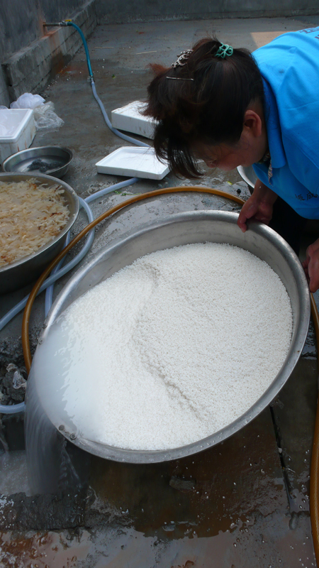rice cooking